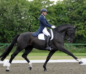 Michel Assouline Dressage