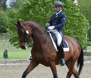 Michel Assouline Dressage
