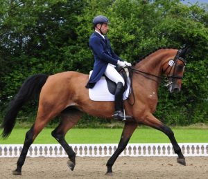 Michel Assouline Dressage